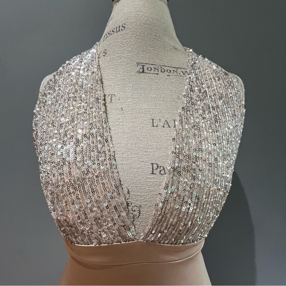 NWT Windsor Champagne Sequin Bodycon Dress Plunge Neckline Sleeveless Size M - Picture 3 of 9